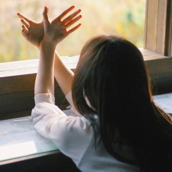 纸牌屋